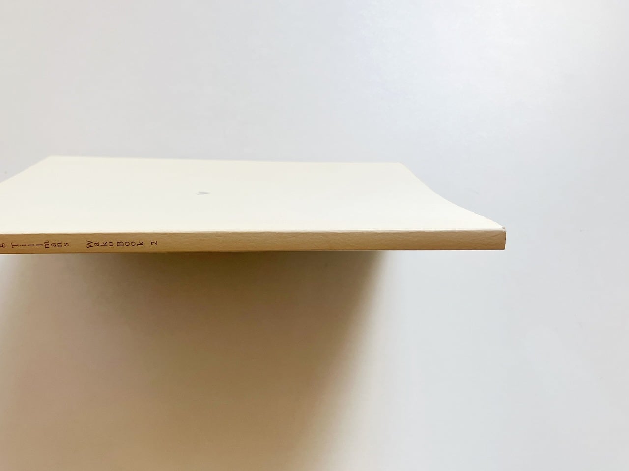 ヴォルフガング・ティルマンス Wolfgang Tillmans | Wako book 2 | 翠