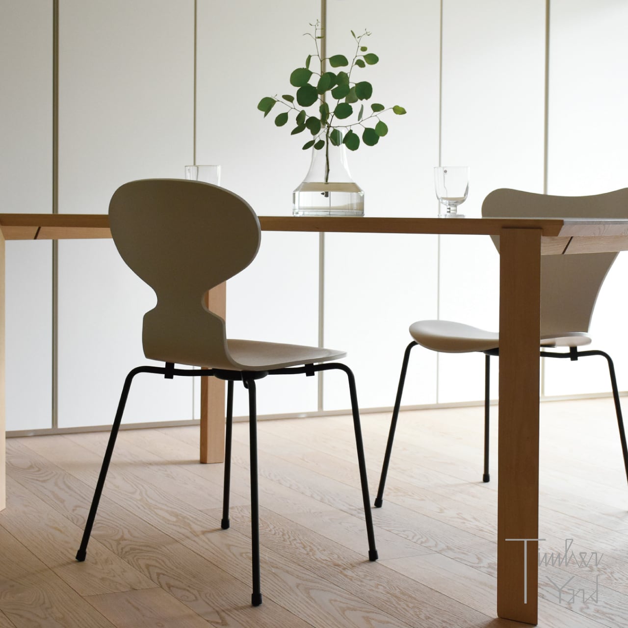 即納可】ANT / アリンコチェア（3101）/ カラードアッシュ / ライト