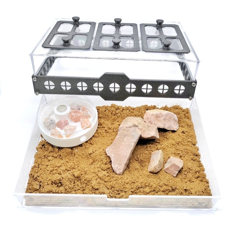 天然石入り平型石膏巣｜ラウンドタイプ | あり巣 in underground（蟻の