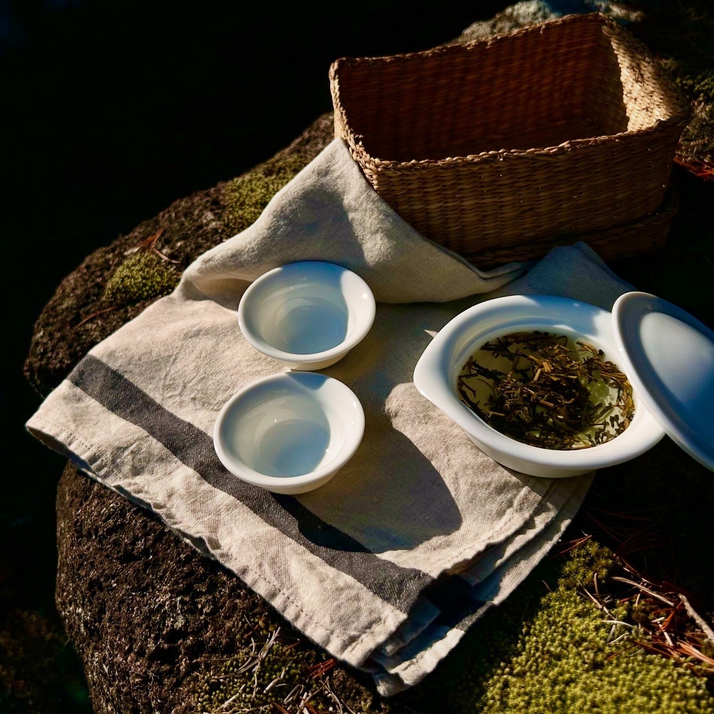 ㊶備前焼 宝瓶 登り窯 竹 たけ タケ 手びねり 急須 ㊶備前焼 宝瓶 登り