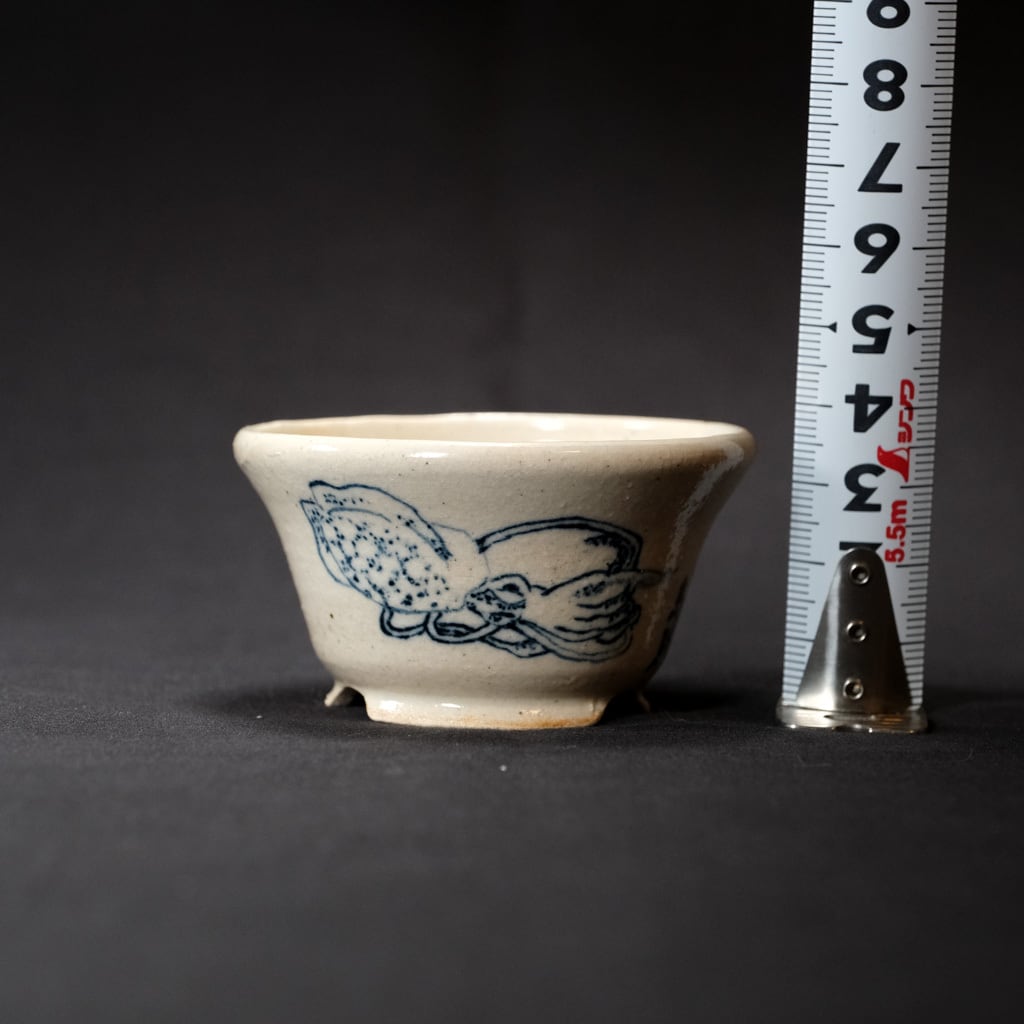 絵鉢 烏賊【Q鉢】 | bonsaiQ store