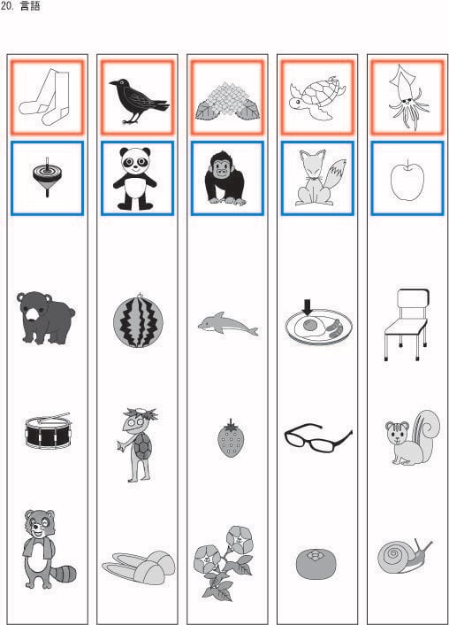 昭和学院小学校受験合格問題 第5集数量2027受験用 | kidscollege