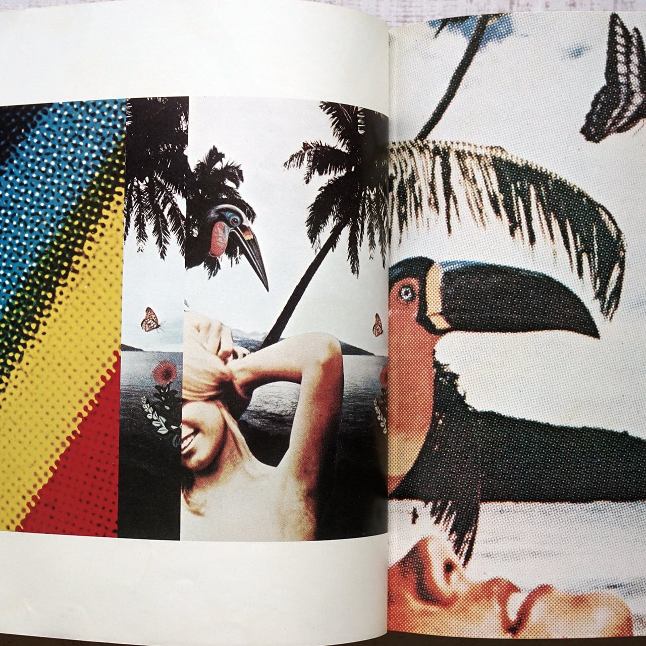 355fddb8c46f77d7f862a501e5f80a