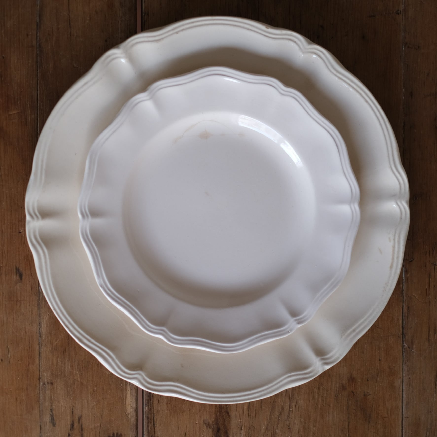 サルグミンヌ 花リムプレート ディナープレート フランスアンティーク