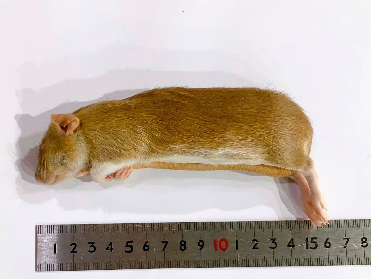 385f8fcf9a6598ec5984b19ec01e7f