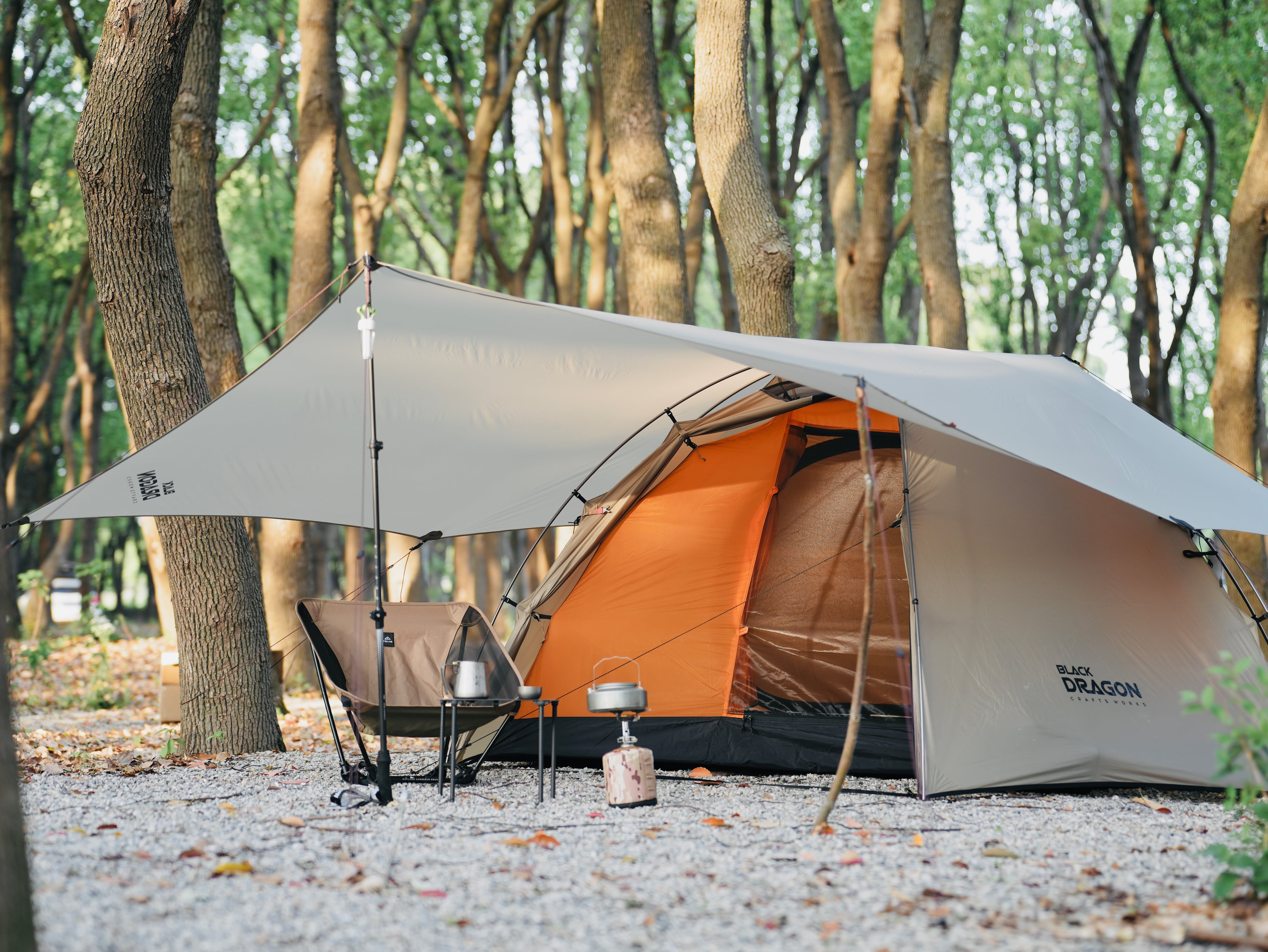 Black Dragon Starry Moon 星月 | Black Dragon Japan