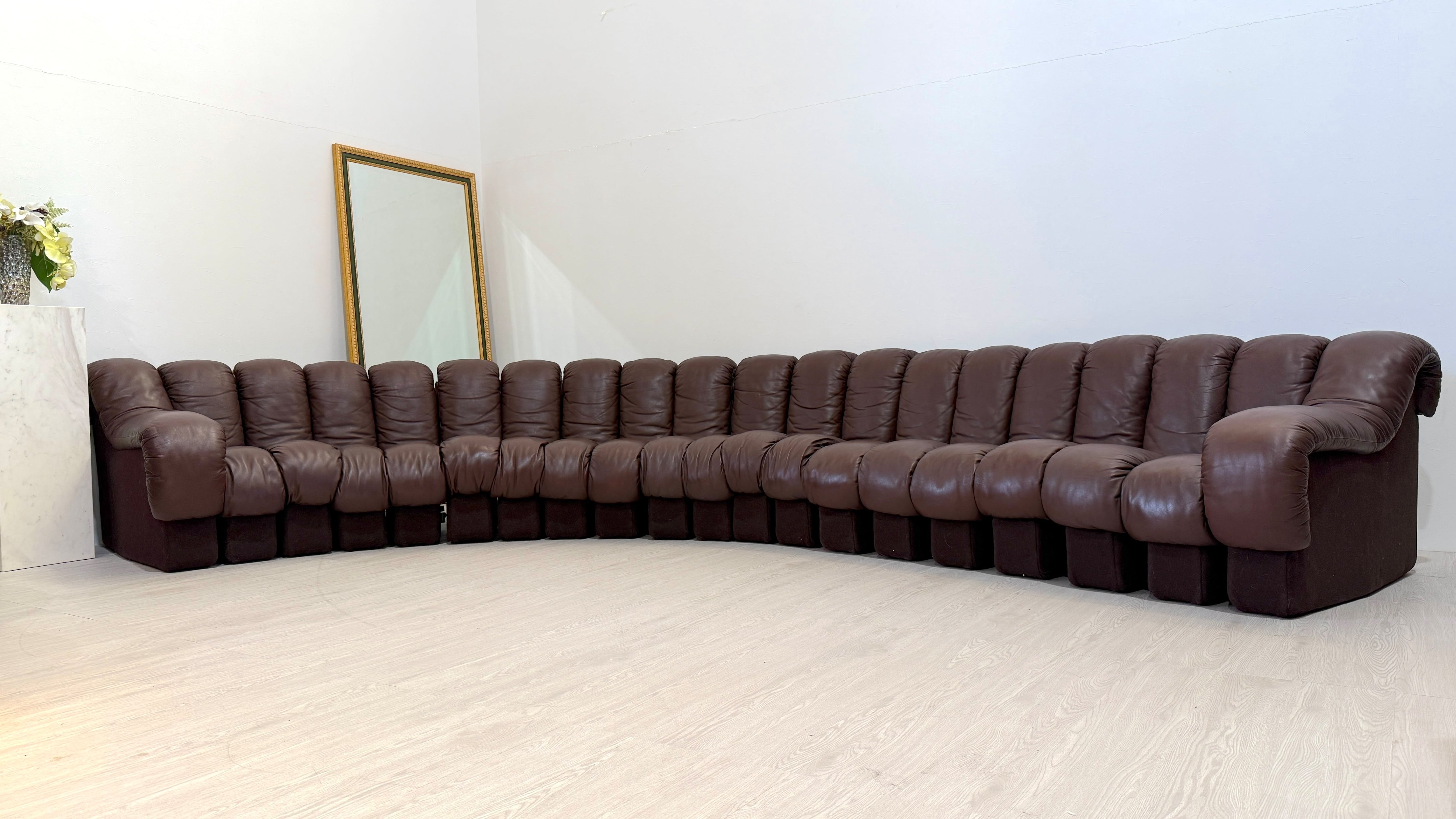 de Sede デセデ スネークソファ DS-600 20連 本革レザー アーム付き