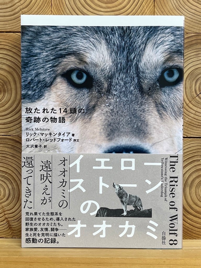 イエローストーンのオオカミ 放たれた14頭の奇跡の物語 | 冒険研究所書店