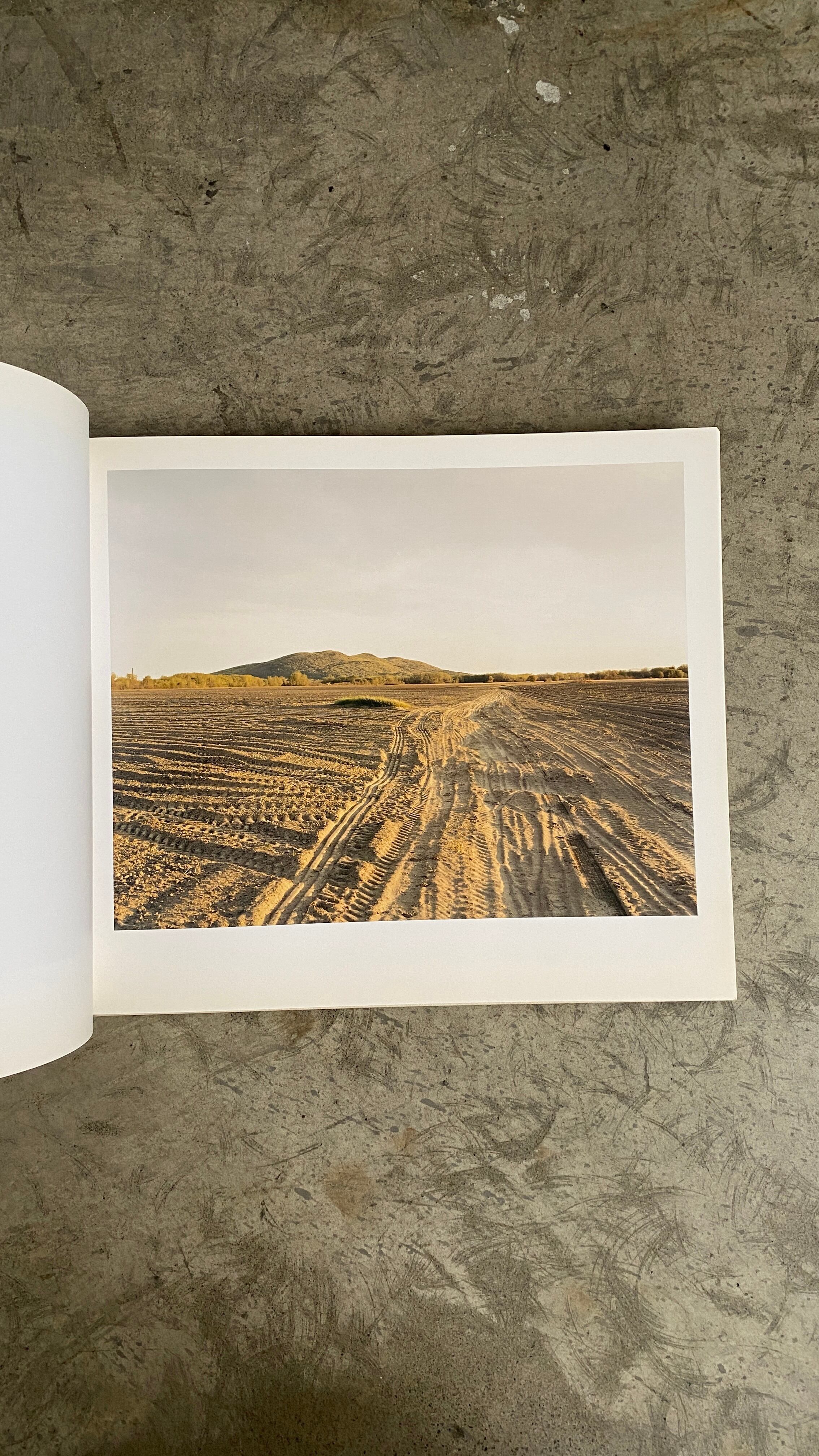 1005 JOEL STERNFELD OXBOW ARCHIVE | 帽子堂
