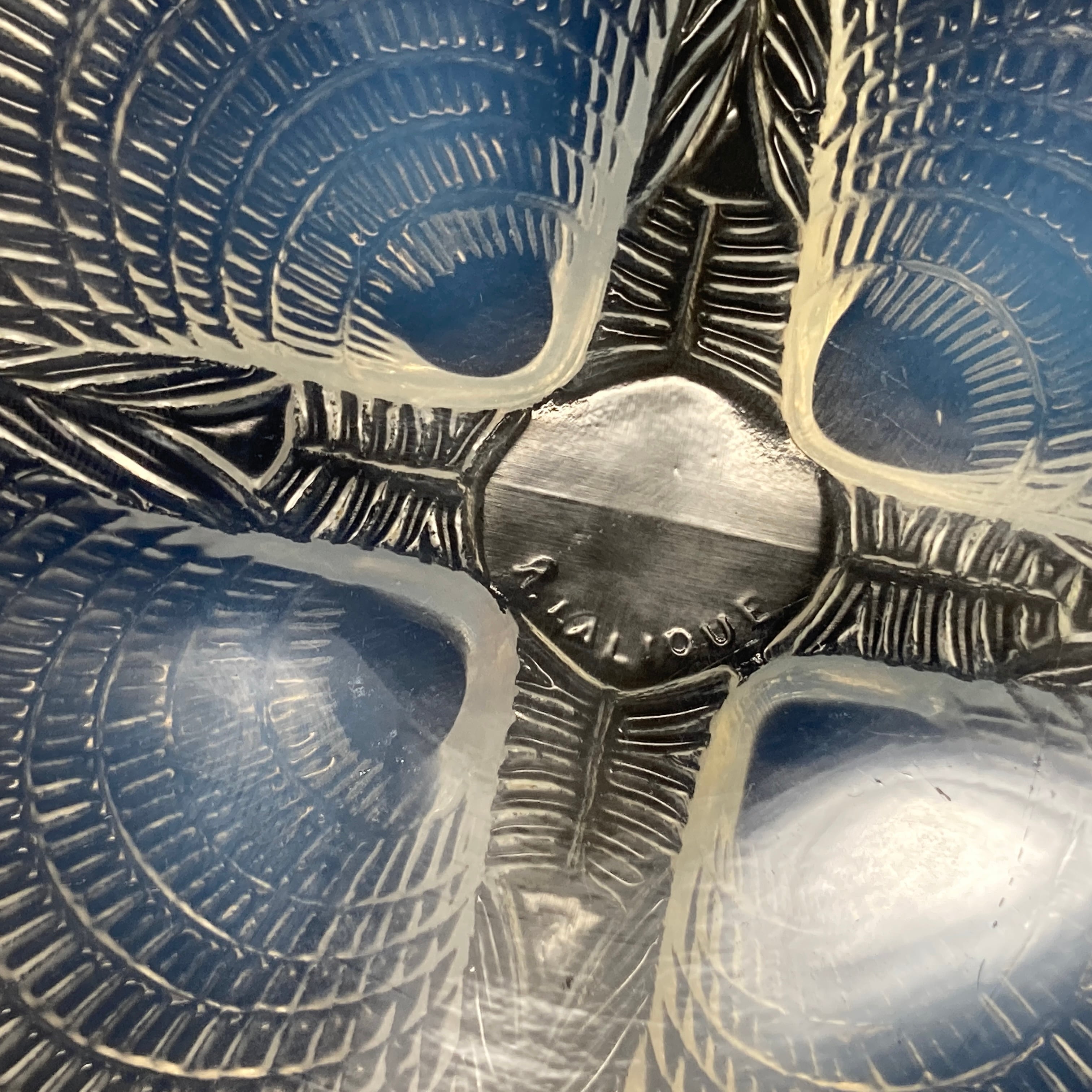 R.LALIQUE ルネ・ラリック オパールセント コキーユ COQUILLE プレート