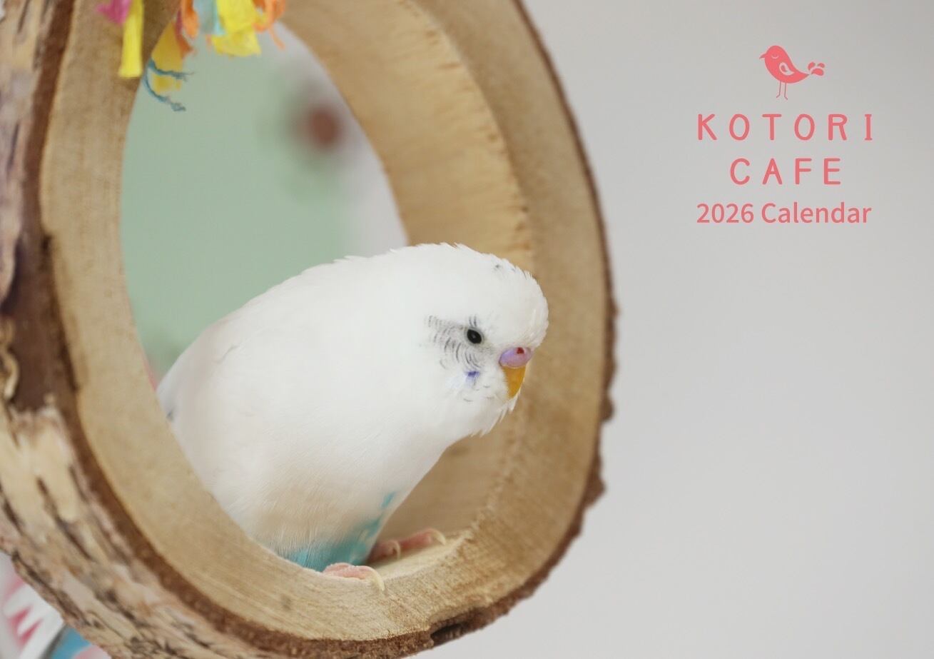 2026年 ことりカフェカレンダー | ことりカフェ公式
