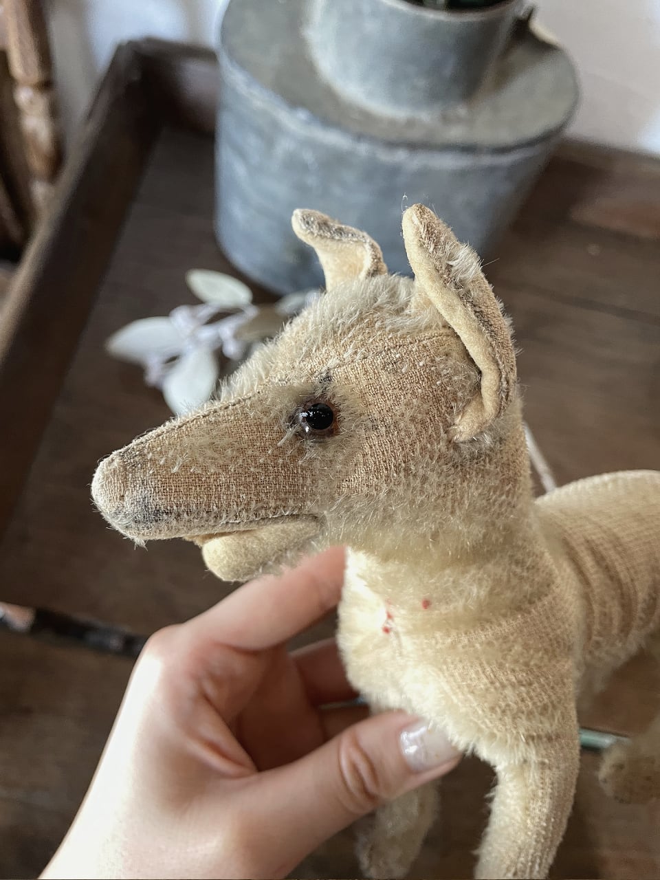 フランスアンティーク 犬 ぬいぐるみ ベージュ dog | Brocante de La