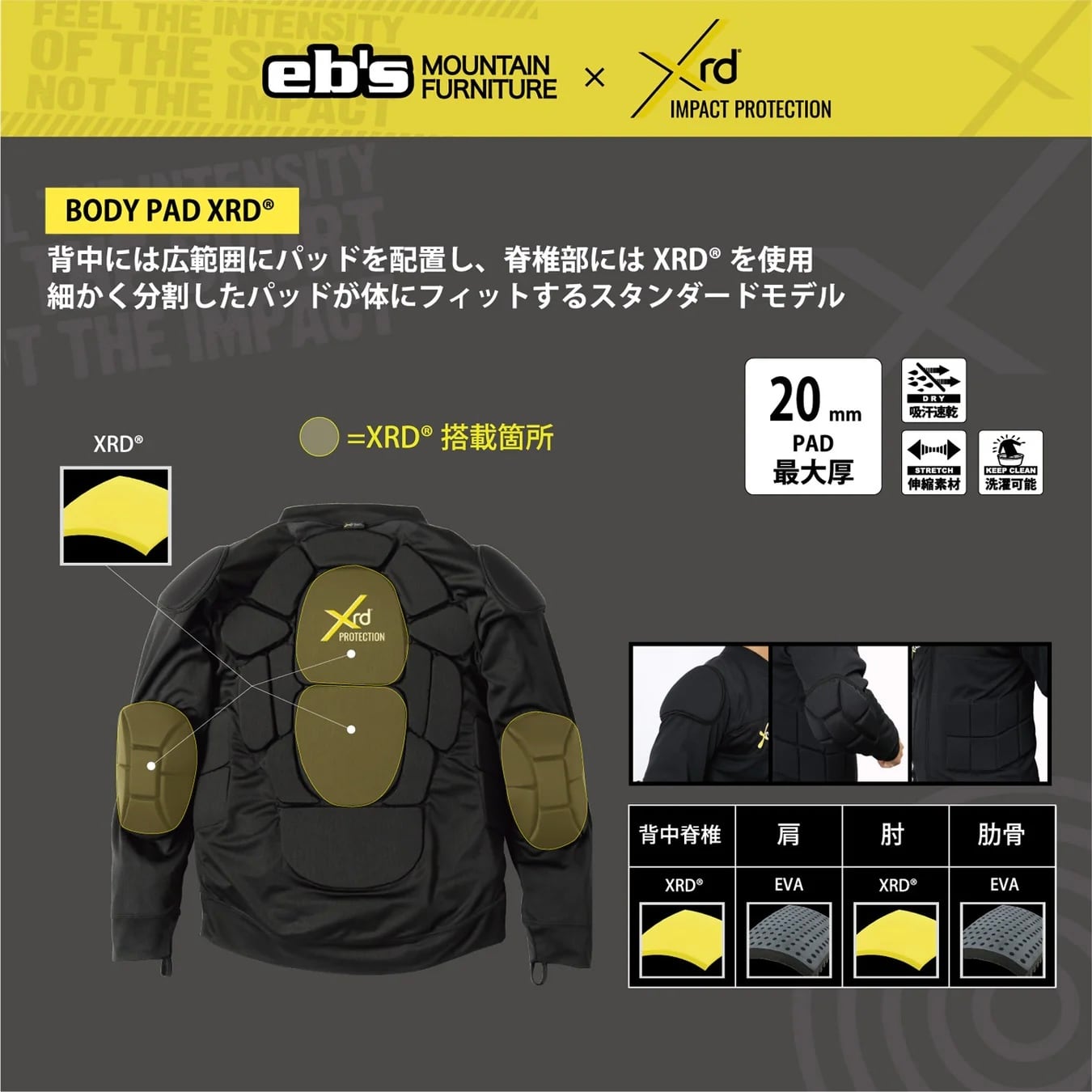 eb's 『 BODY PAD XRD 』 正規販売店 エビス ボディパッド