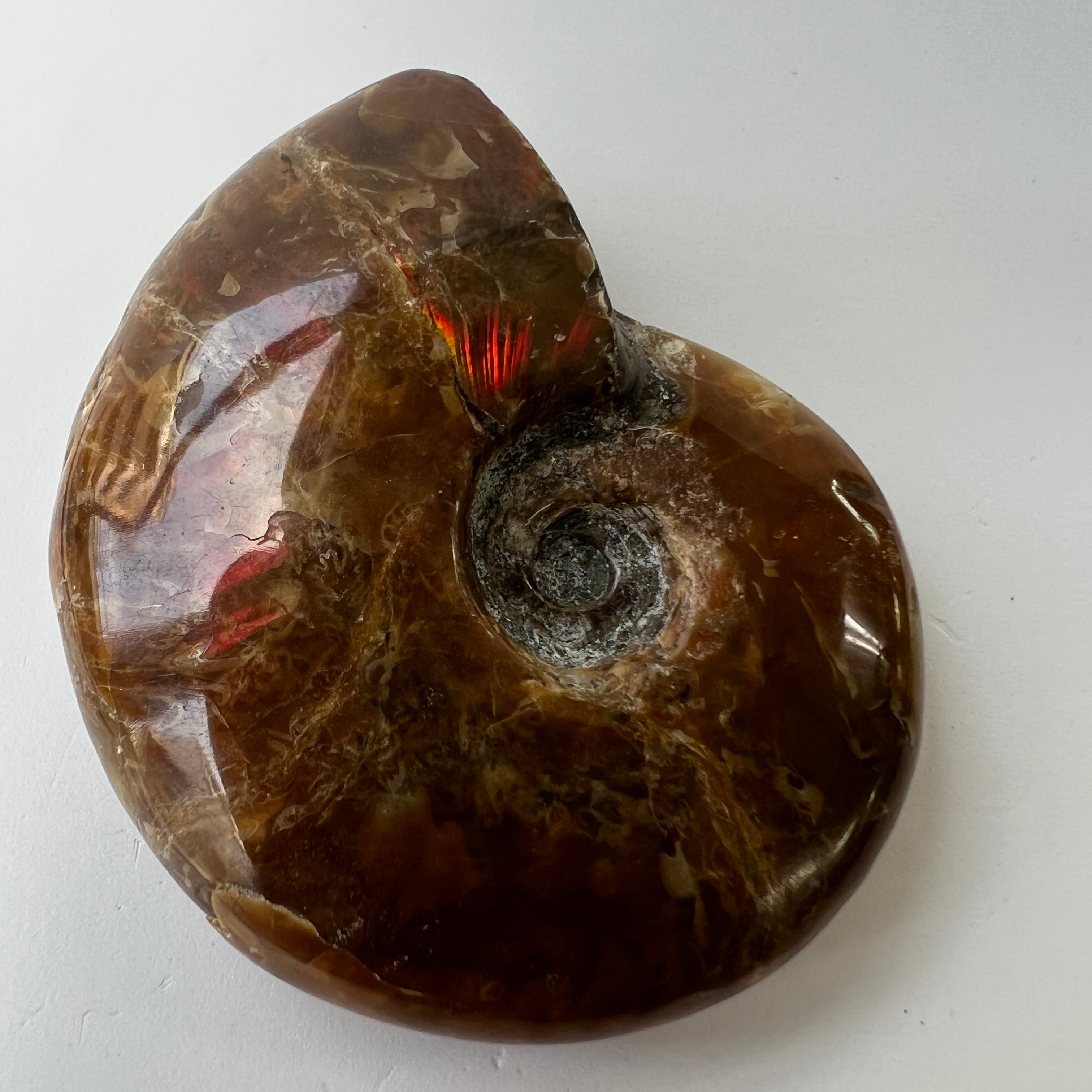 af6de39f34fabe925c5b1d2d1cd863