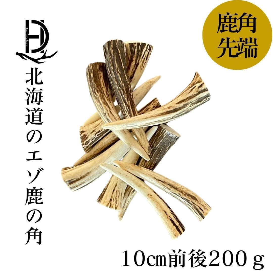 送料無料】 北海道蝦夷鹿の角 10㎝前後 200g分セット | REAN select