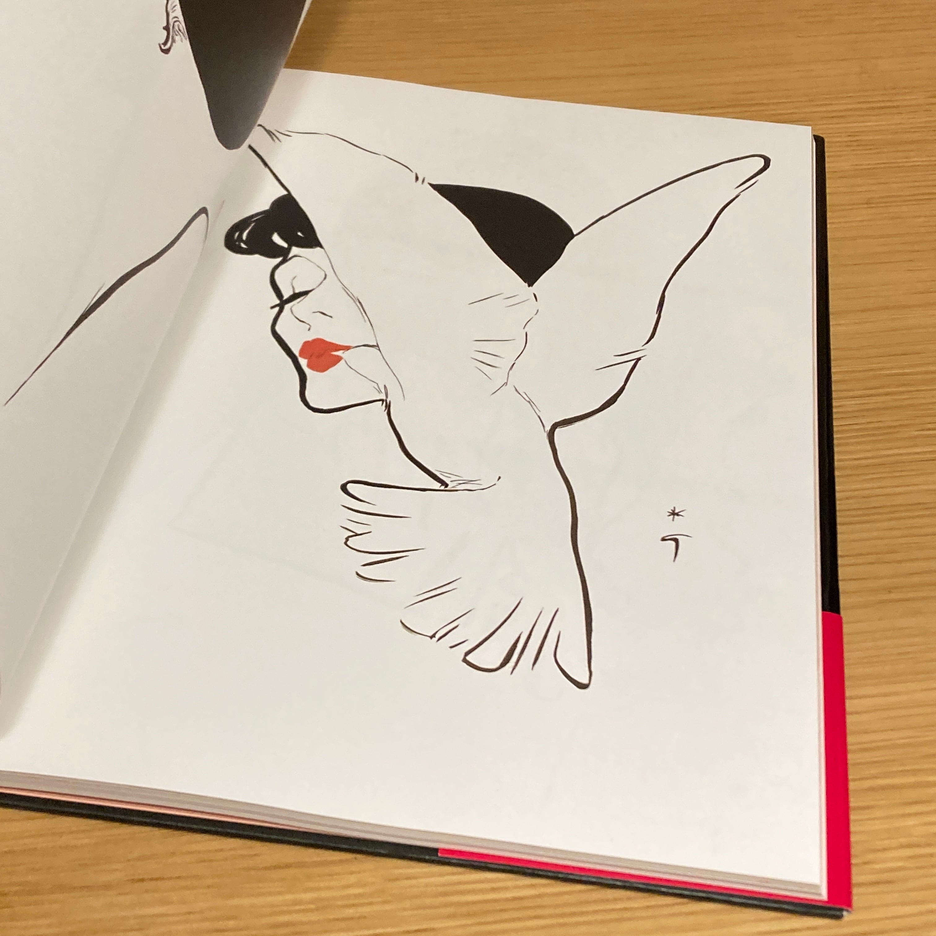 ルネ・グリュオー作品集 Rene Gruau | 百年