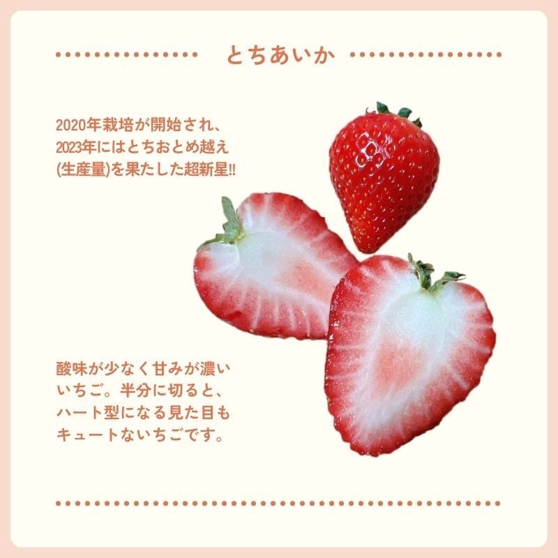 とちあいか（DXサイズ 6粒入り×2P） | 猪野さんちのいちご農園｜産直