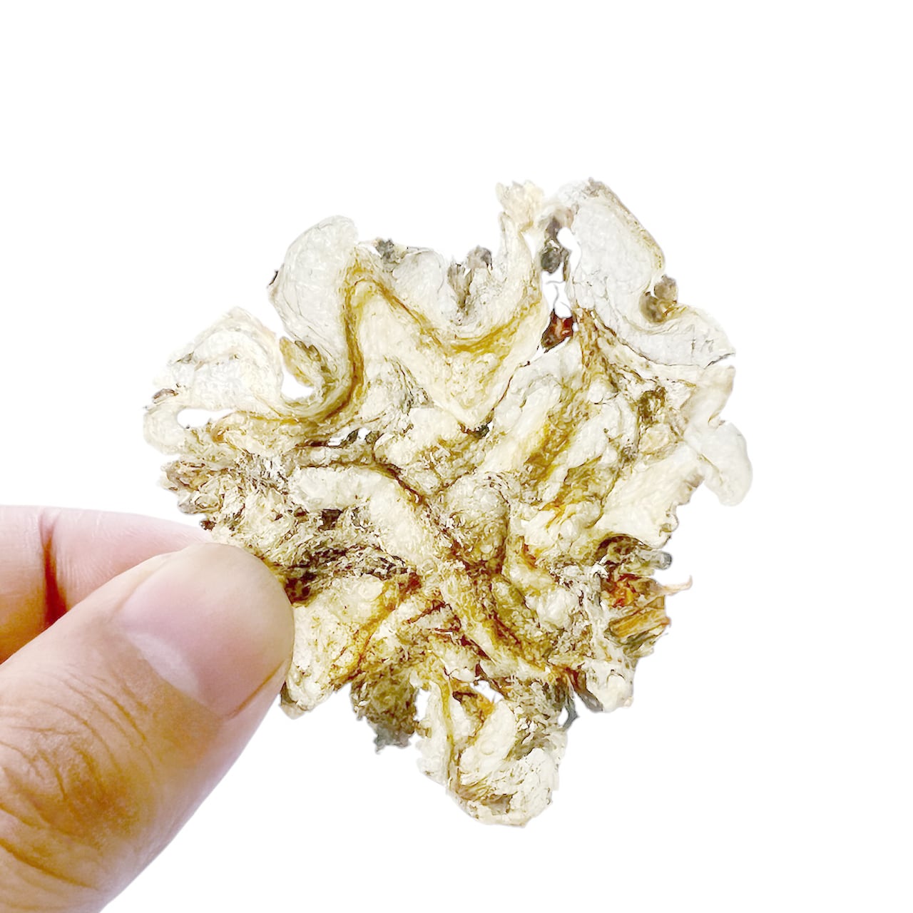 ◇オカベ いわしチップス 14g | GOODFOODS なちゅらるこーと