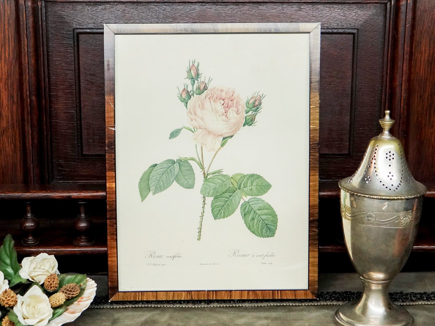 Vintage】ピエール＝ジョゼフ・ルドゥーテ 植物画 バラ Rosa