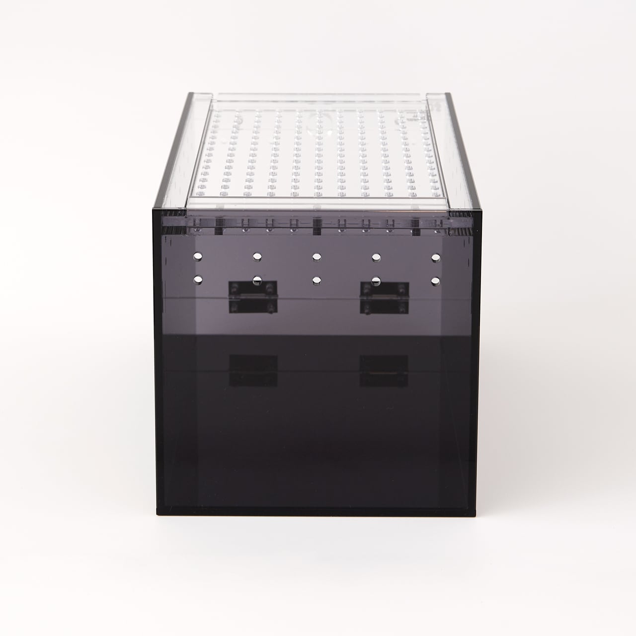 clear2-ブラックver】W200×D300×H200 Small Dinosaur スモール