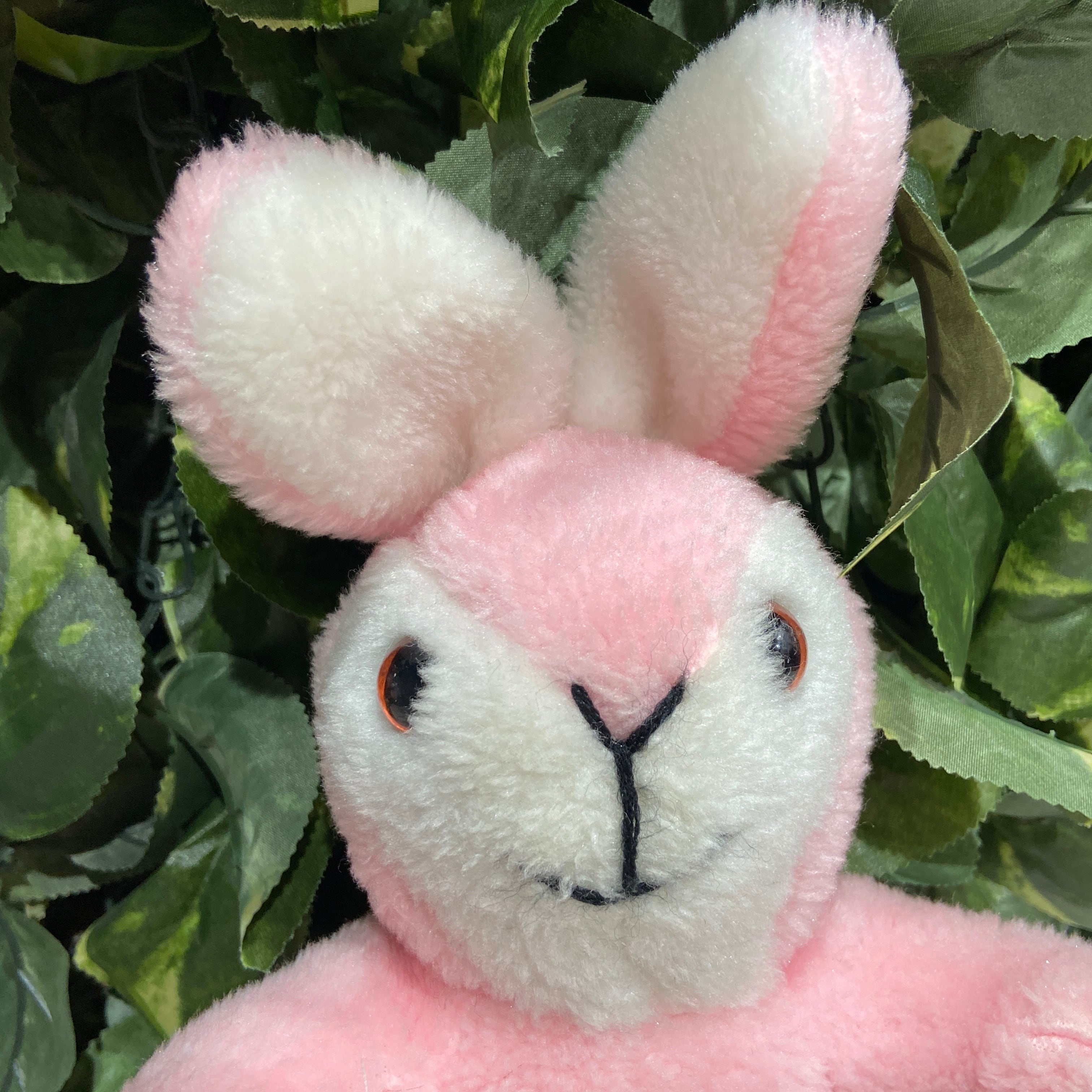 ☆大股うさぎさん☆前屈の練習☆ニコニコ笑顔☆うさぎ☆うさぎの