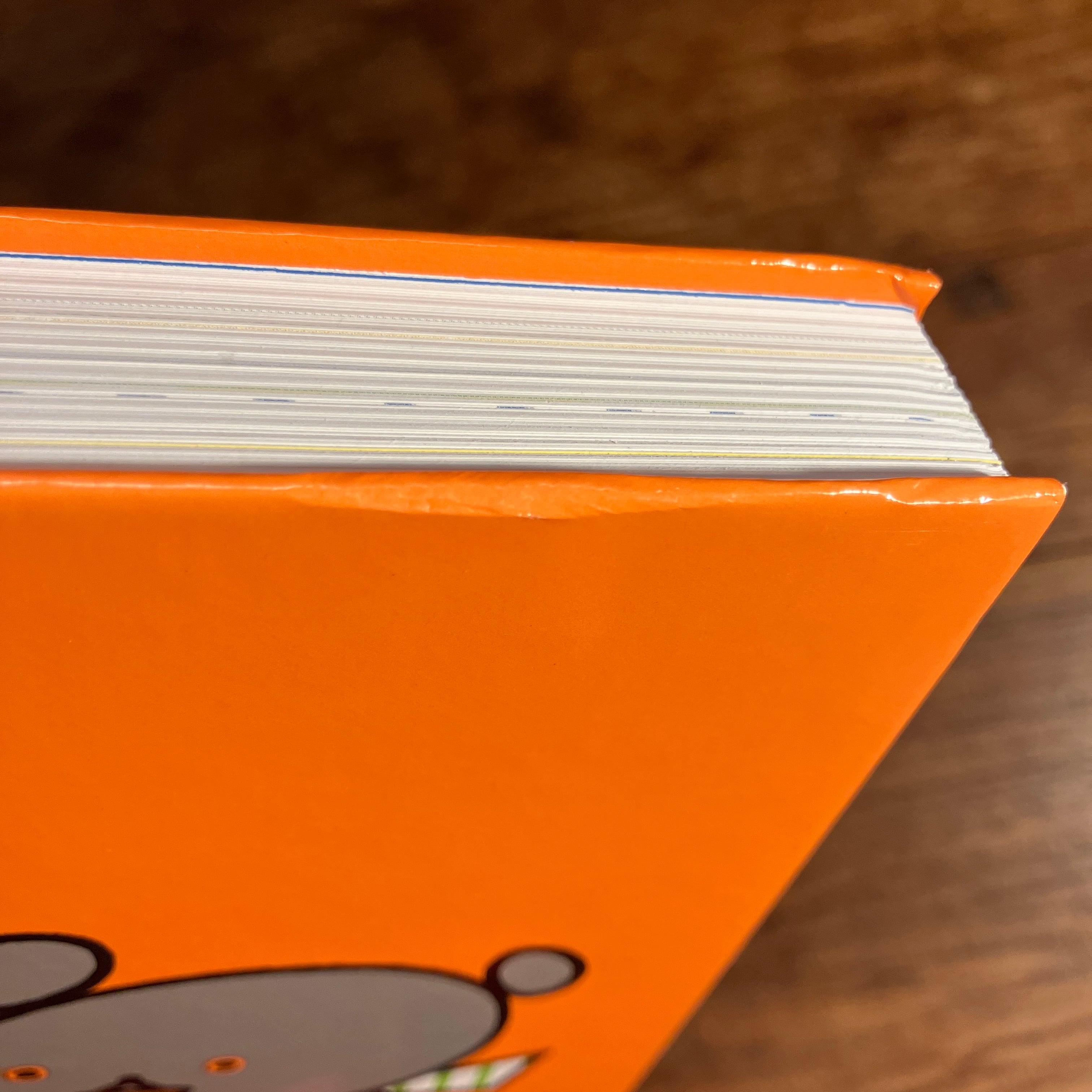 図録：『こぐまちゃんとしろくまちゃん 絵本作家・わかやまけんの世界