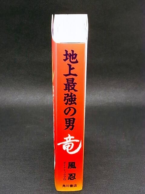 地上最強の男 竜 風忍 | レトロ・スタイル
