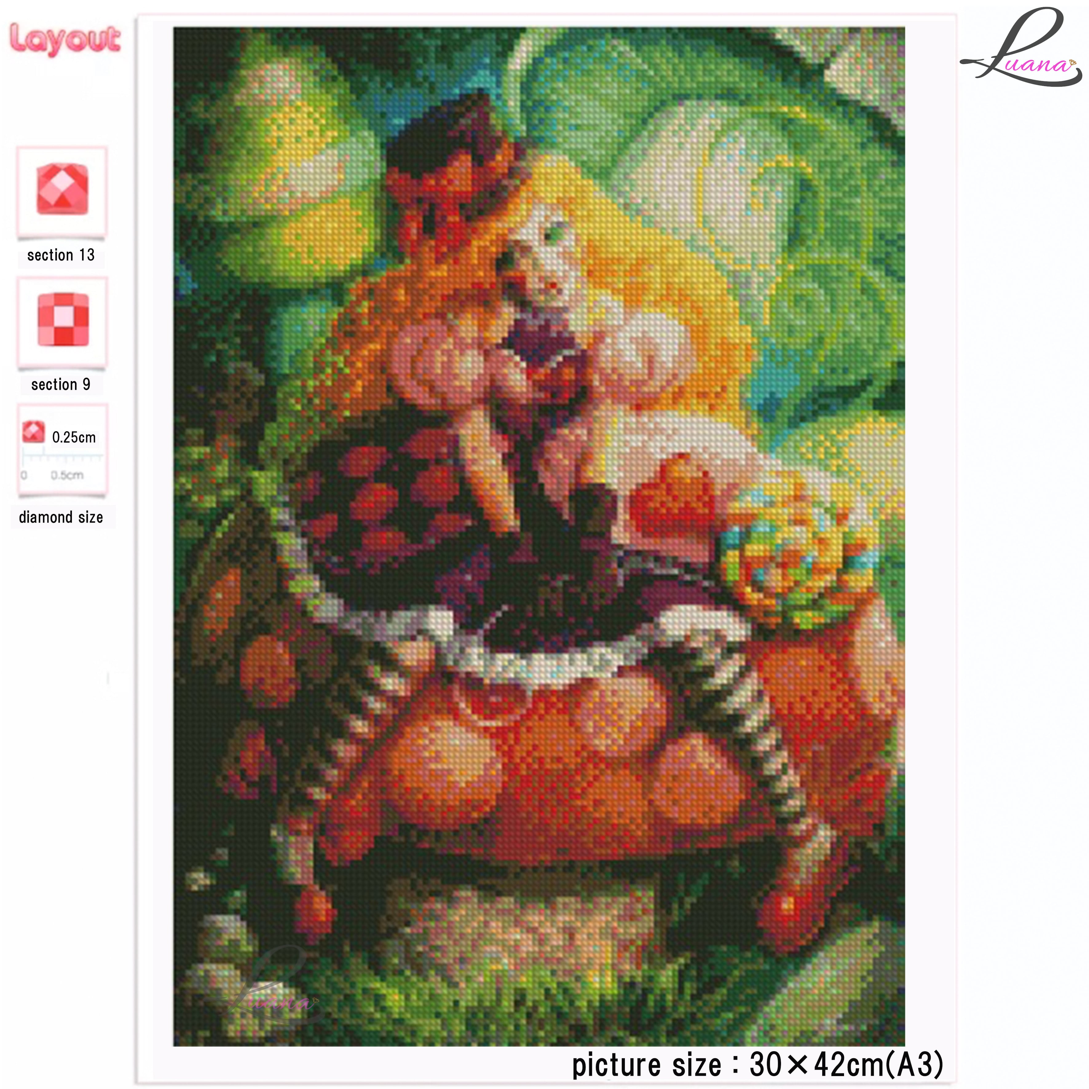 2208 ダイヤモンドアート お取り寄せ商品 | ダイヤモンドアート Luana