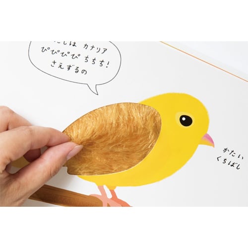 絵本 新装版 さわれる まなべる みぢかなどうぶつ えほん | Primii