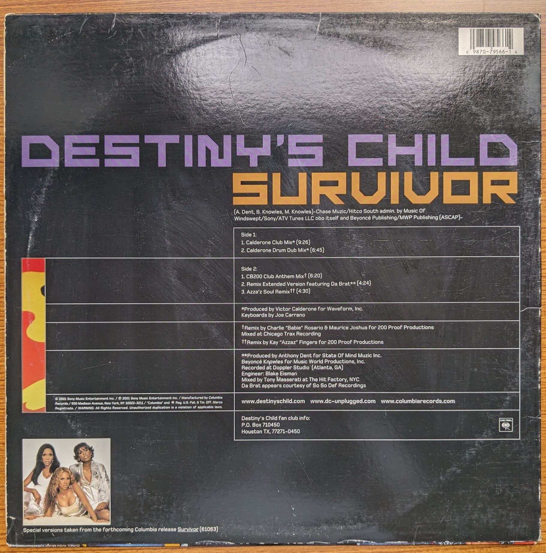 Destiny's Child「Survivor (Dance Mixes)」:12inchレコード | 音とこだま