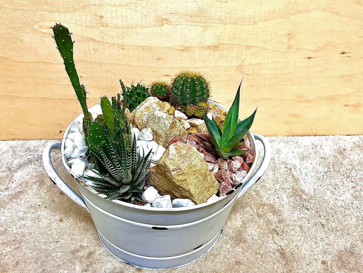 ミニドライガーデン | Pay ID