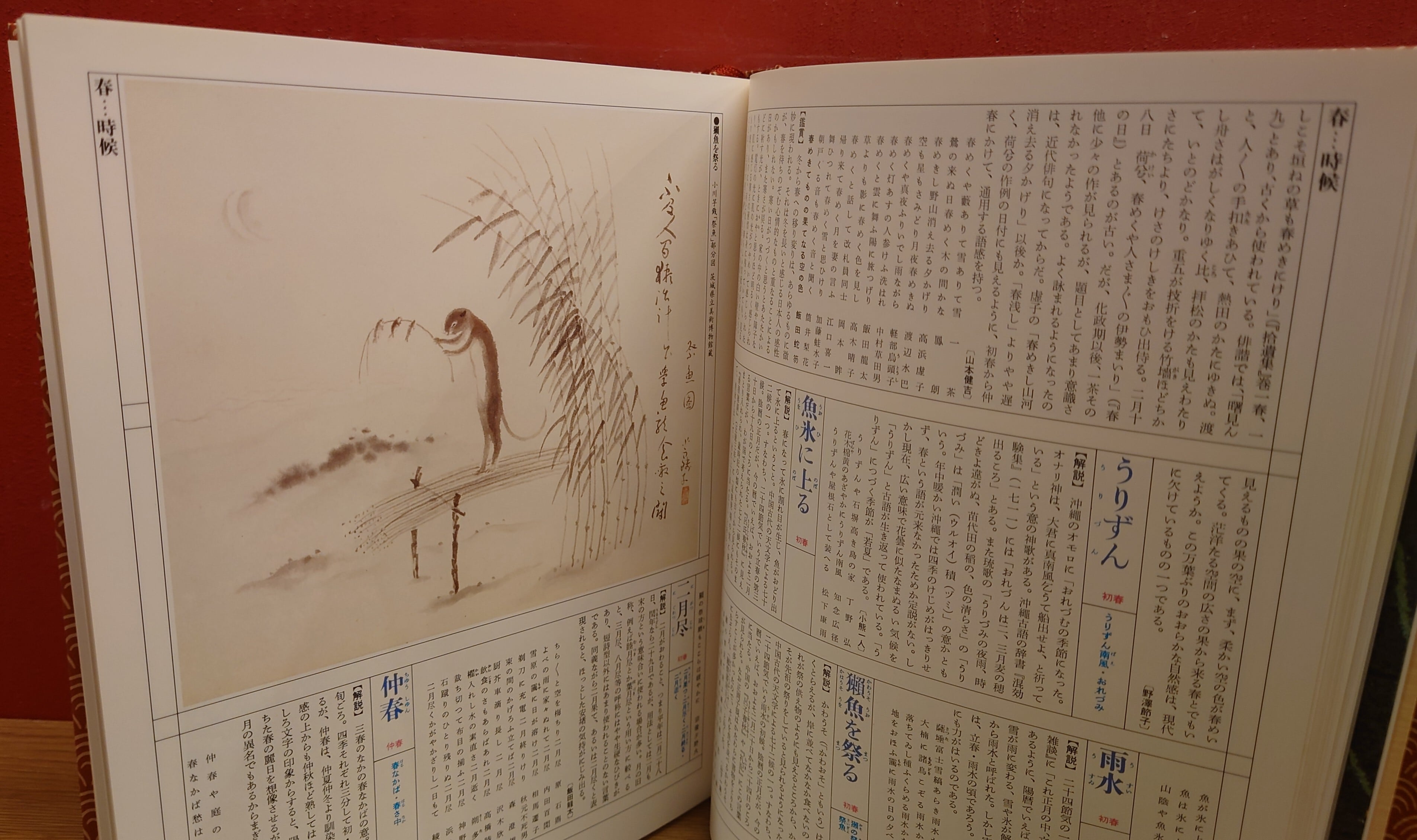 カラー図説 日本大歳時記 春・夏・秋・冬・新年 全5巻セット | 弥生坂