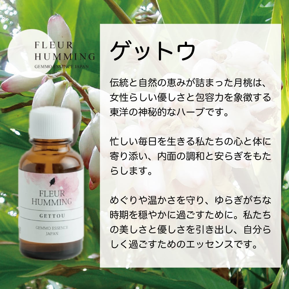 ゲットウ 和ジェモ 国産 月桃 ジェモセラピー めぐりを感じて美しく