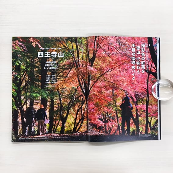 季刊のぼろ Vol.30（2020・秋） | 西日本新聞 オンラインブックストア