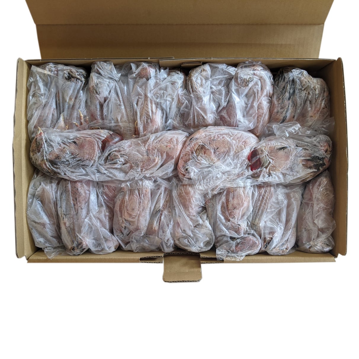 3ケース】豊橋産 冷凍ウズラ 未処理 25羽3ケース 親ウズラ 猛禽類