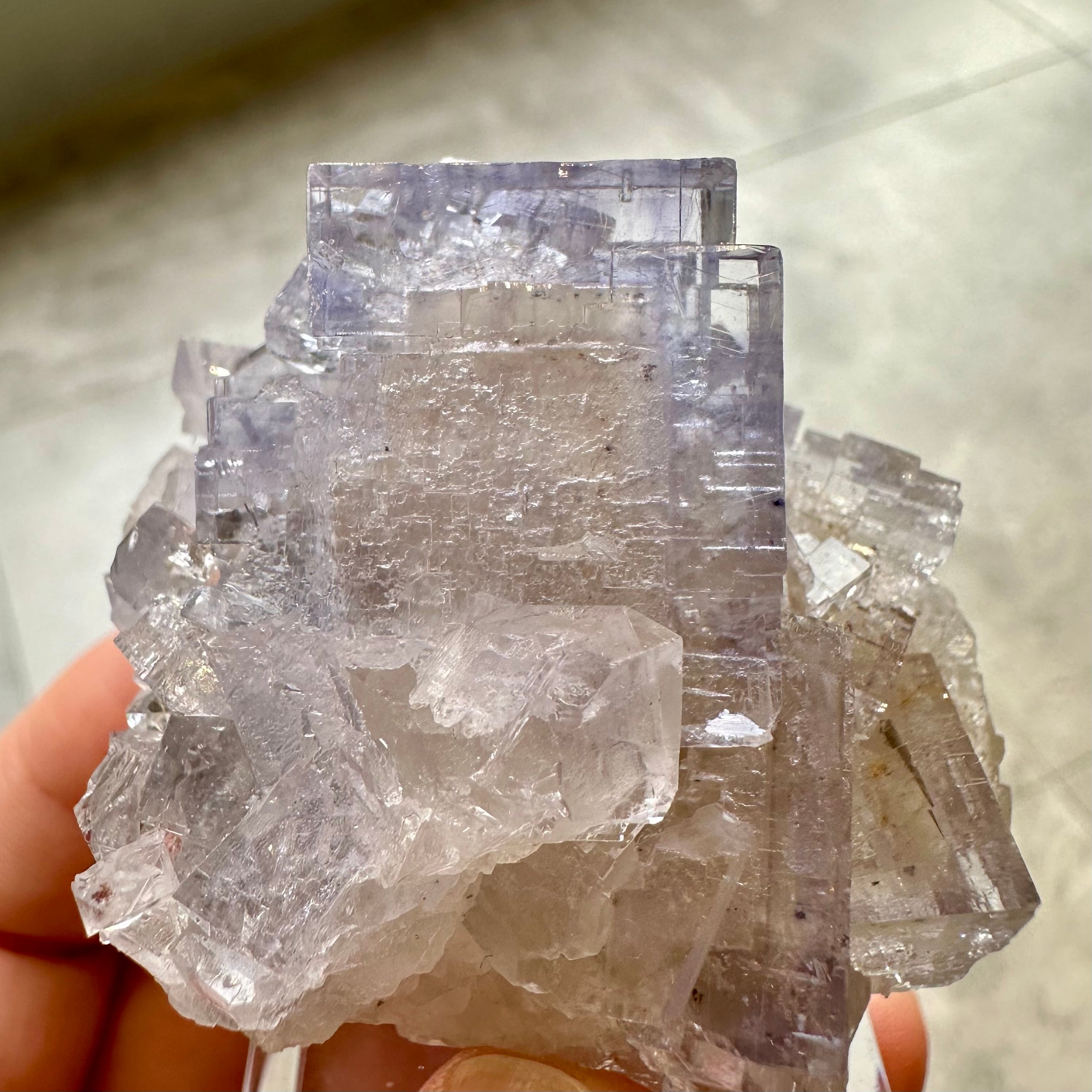 フローライト【Fluorite】スペイン産 | PEANUTS MINERALS