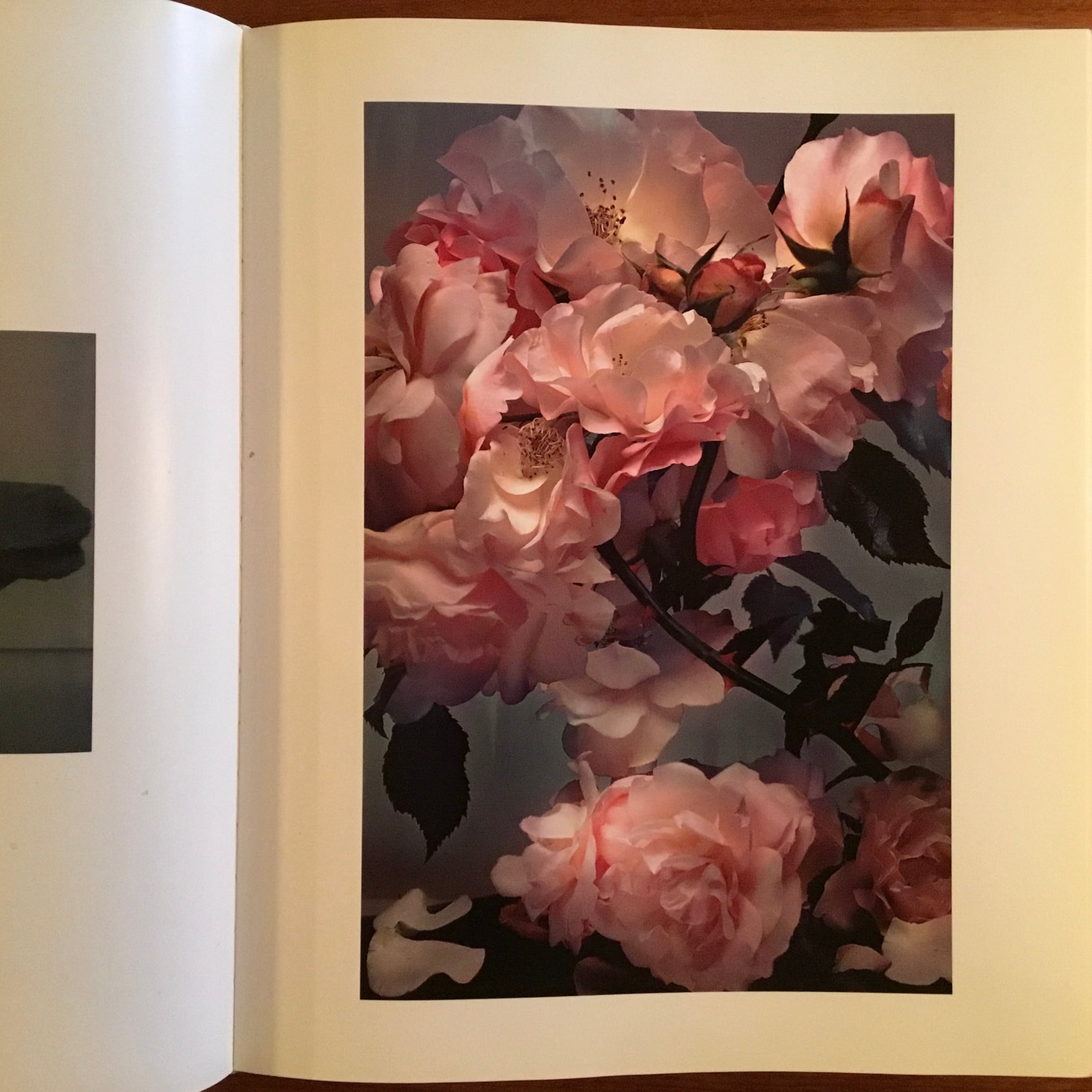 Nick Knight | Flying Books