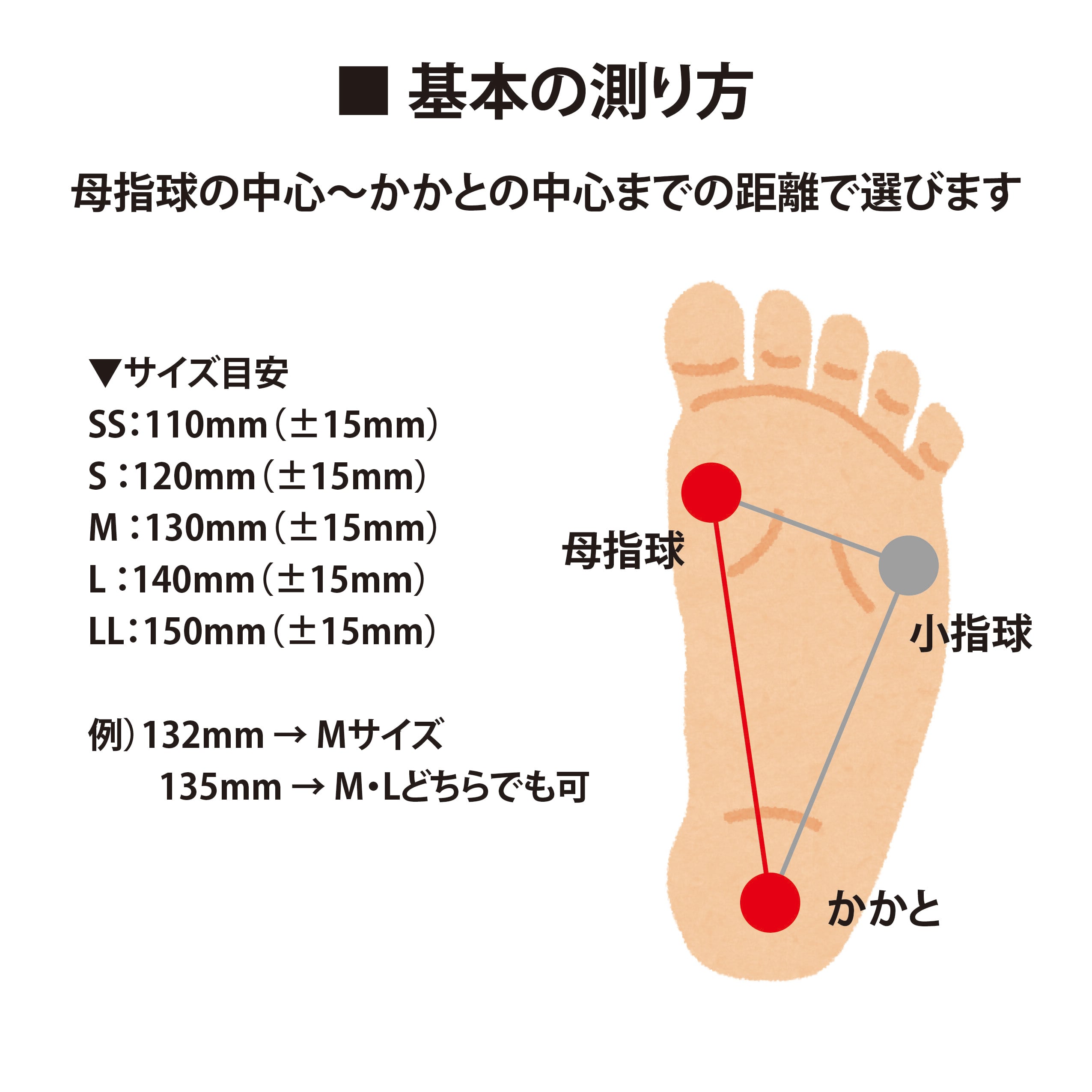 送料無料】疲れ知らずの足作り バランス工房 インソール B-TR MASTER