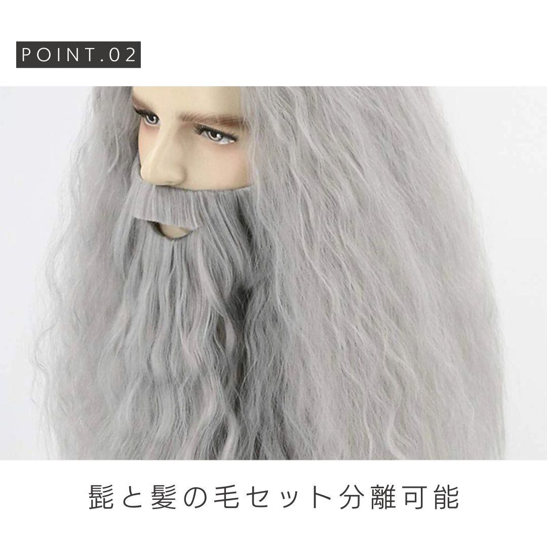 置き配配送】【在庫限り】ウィッグ メンズ ドワーフ コスプレ 貫禄MAX