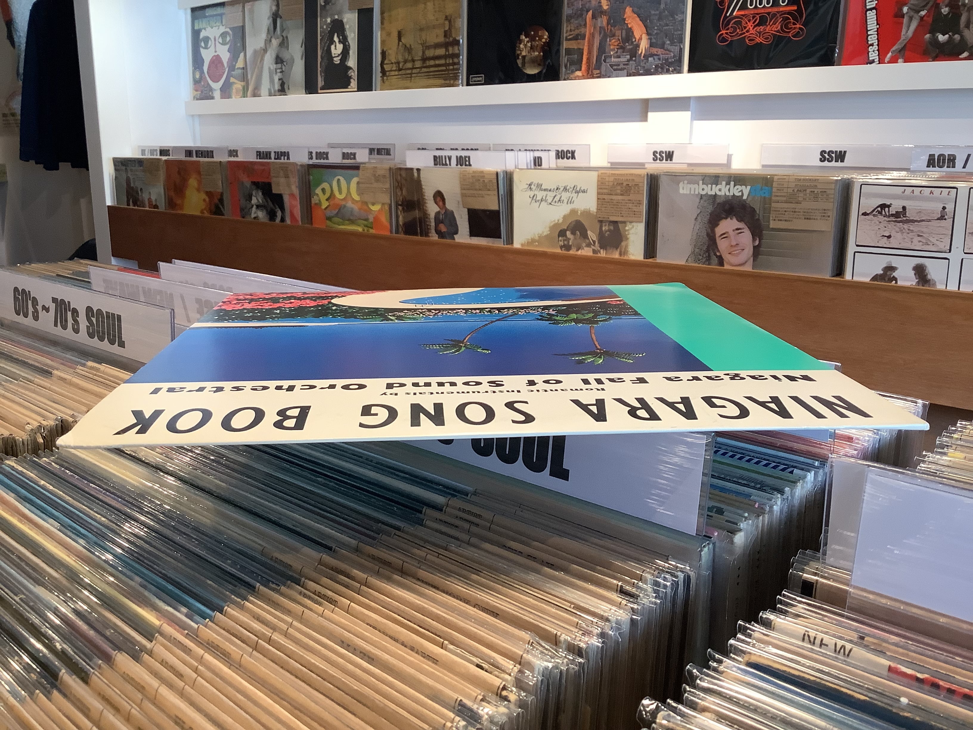 NIAGARA FALL OF SOUND ORCHESTRAL / NIAGARA SONG BOOK | Plastic