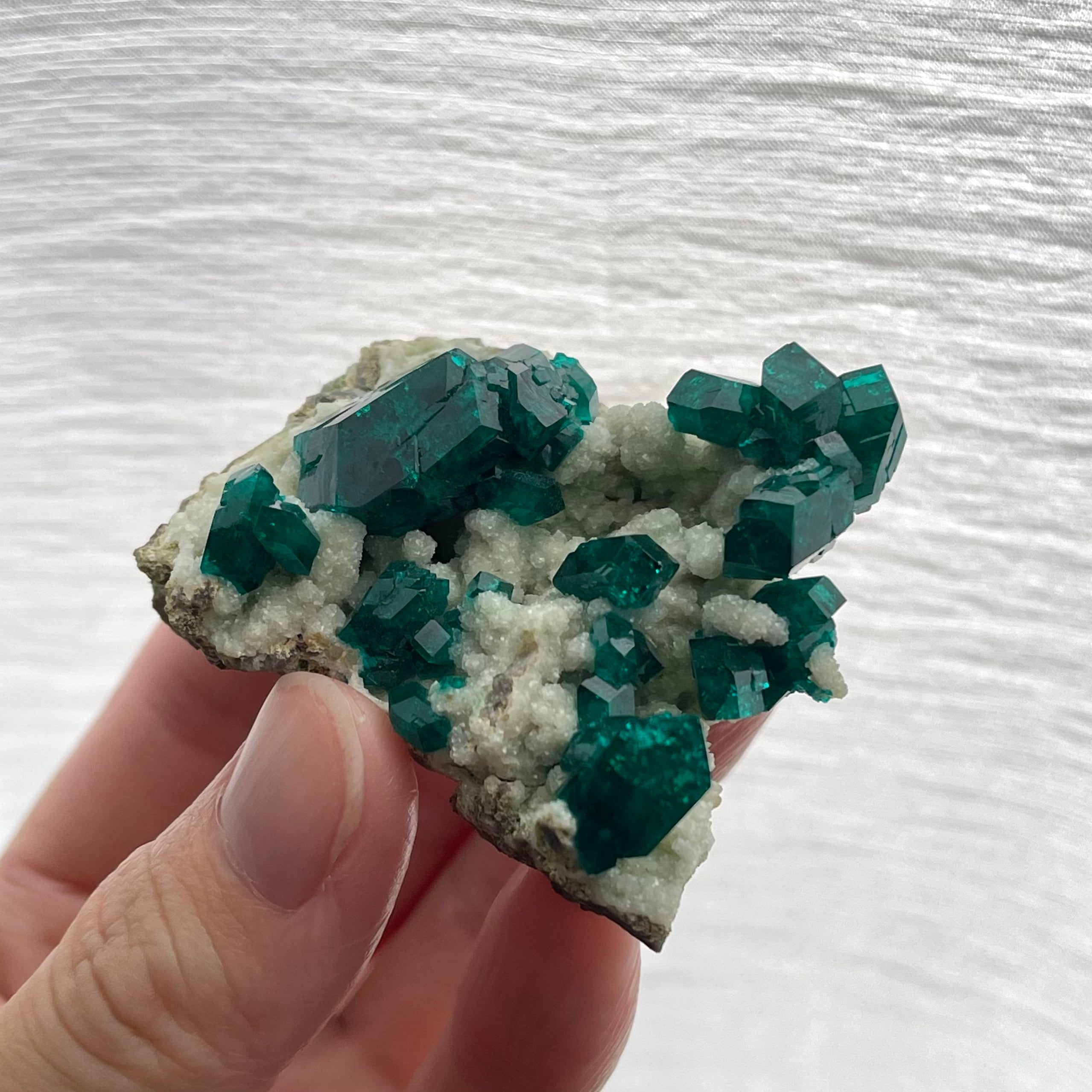 ダイオプテーズ / ダフタイト / カルサイト【Dioptase on Calcite with