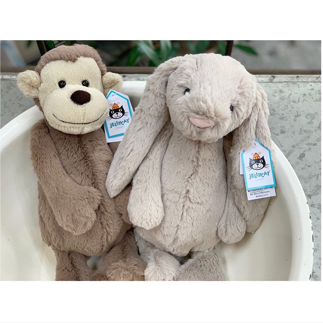 Jelly cat / ジェリーキャット Bashful Beige Bunny Medium ぬいぐるみ