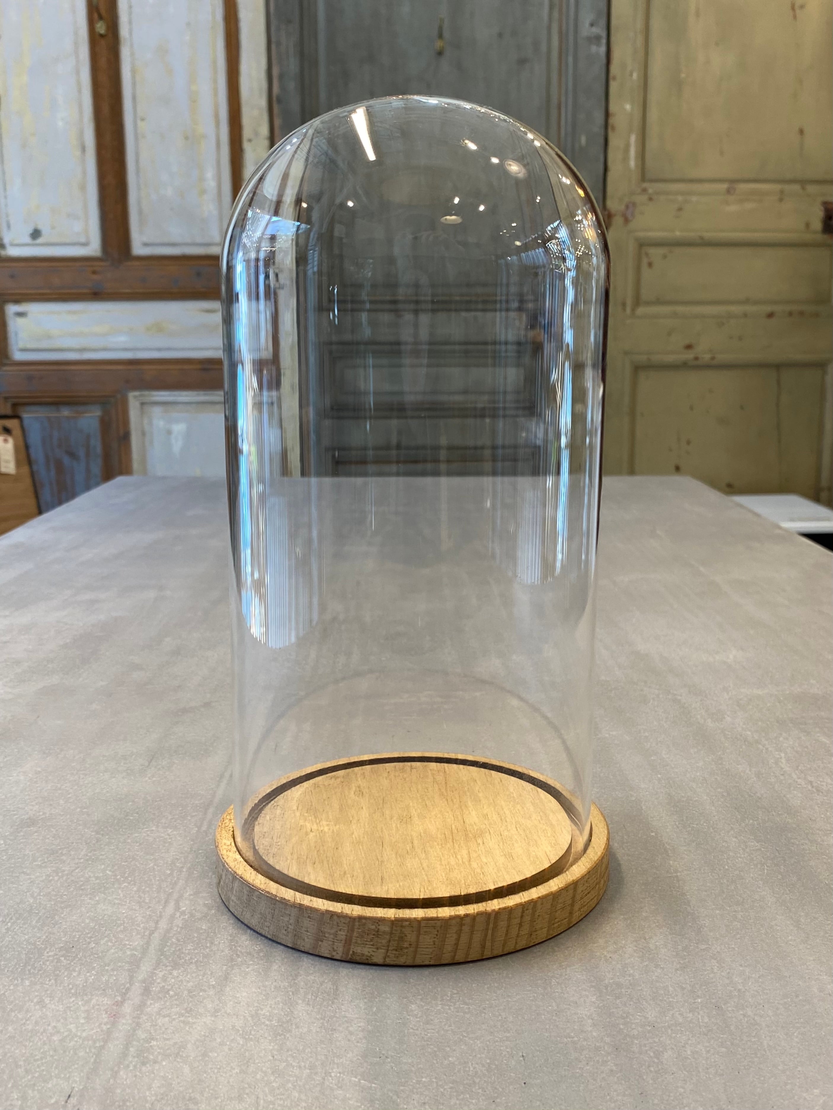 ガラスドーム | ANTWARP