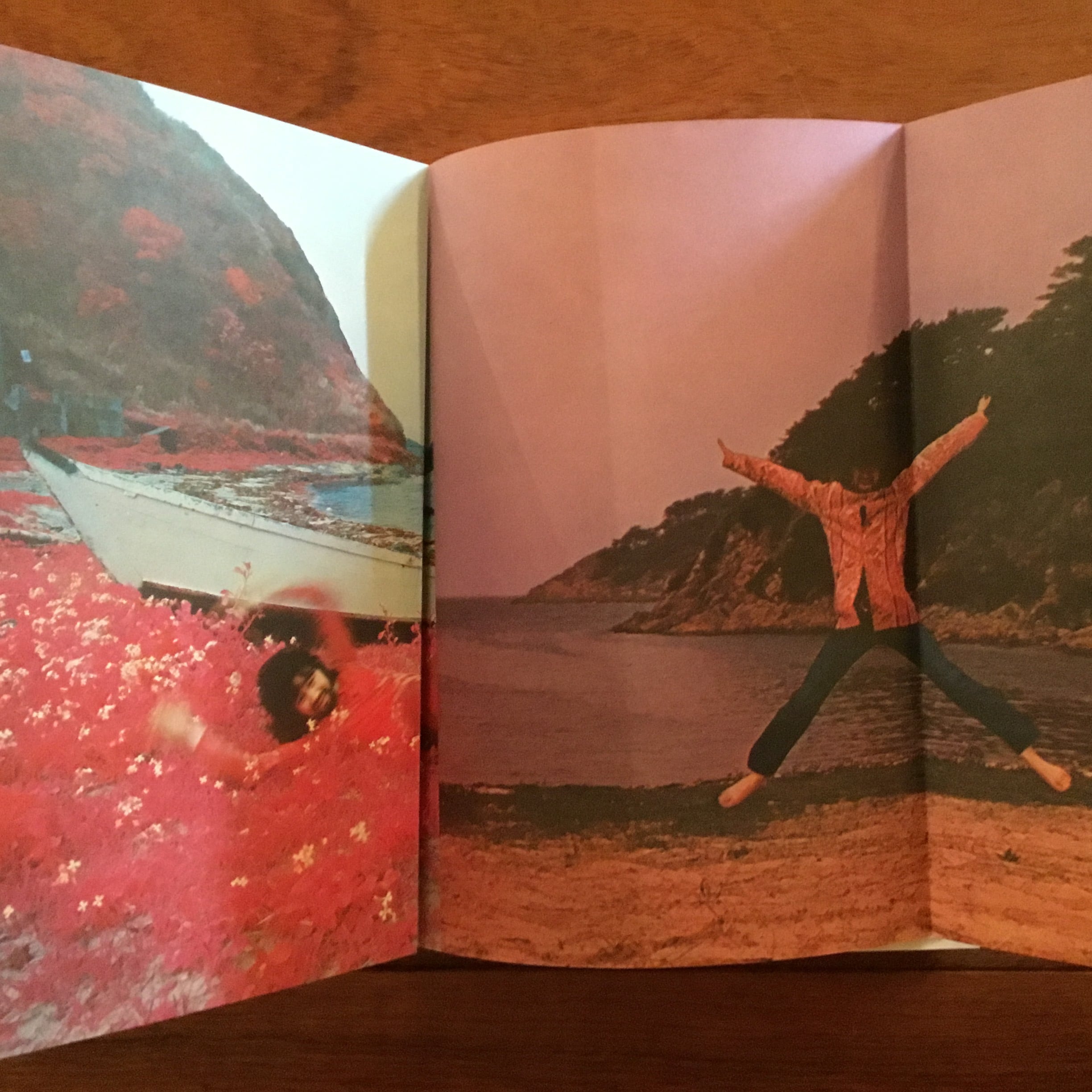 横尾忠則全集 全一巻 | Flying Books