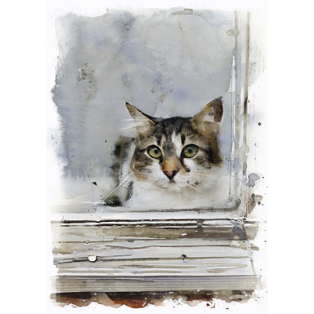 d7550991a5ce5c55ab7328ae616aa1