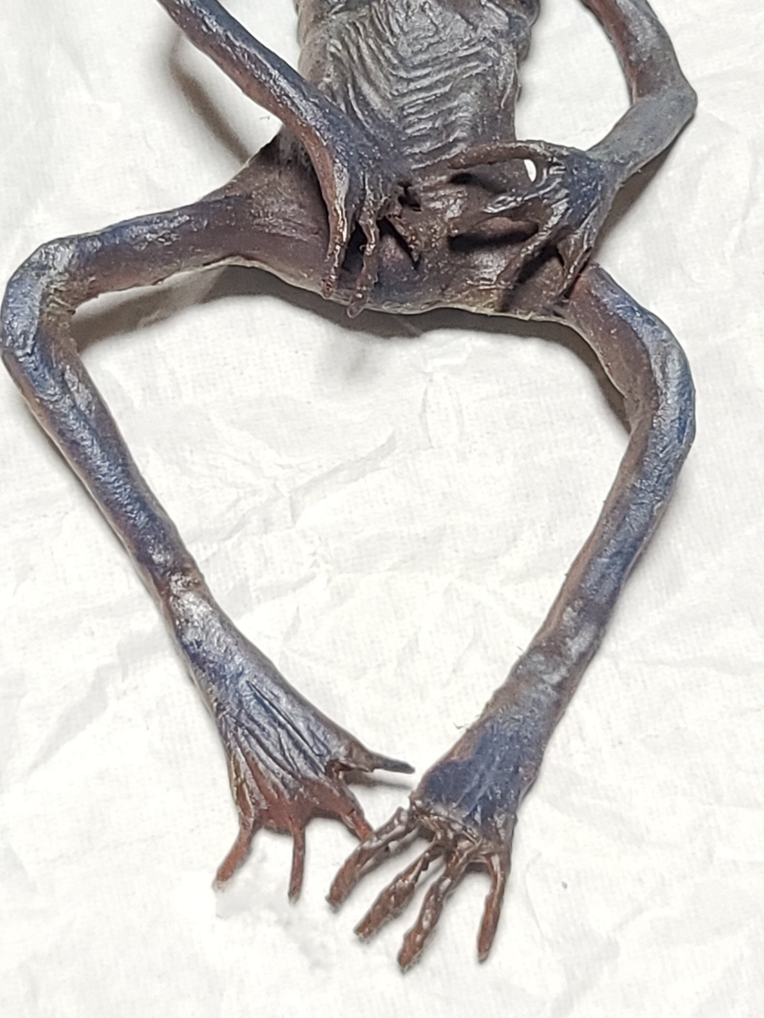 妖怪 青餓鬼 木乃伊(ミイラ) 二本角 青小鬼 怪奇標本 ニ－85 | Pay ID