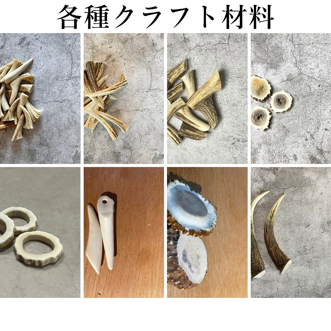 鹿の角 先端 1個セット クラフト材料 ハンドメイド 工作 | REAN select