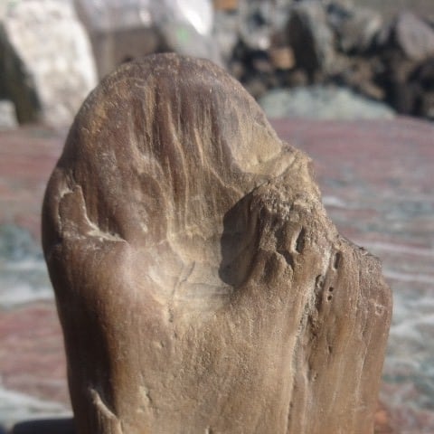 珪化木(木化石) 庭石 鑑賞石 原石 置物 オブジェ インテリア 化石