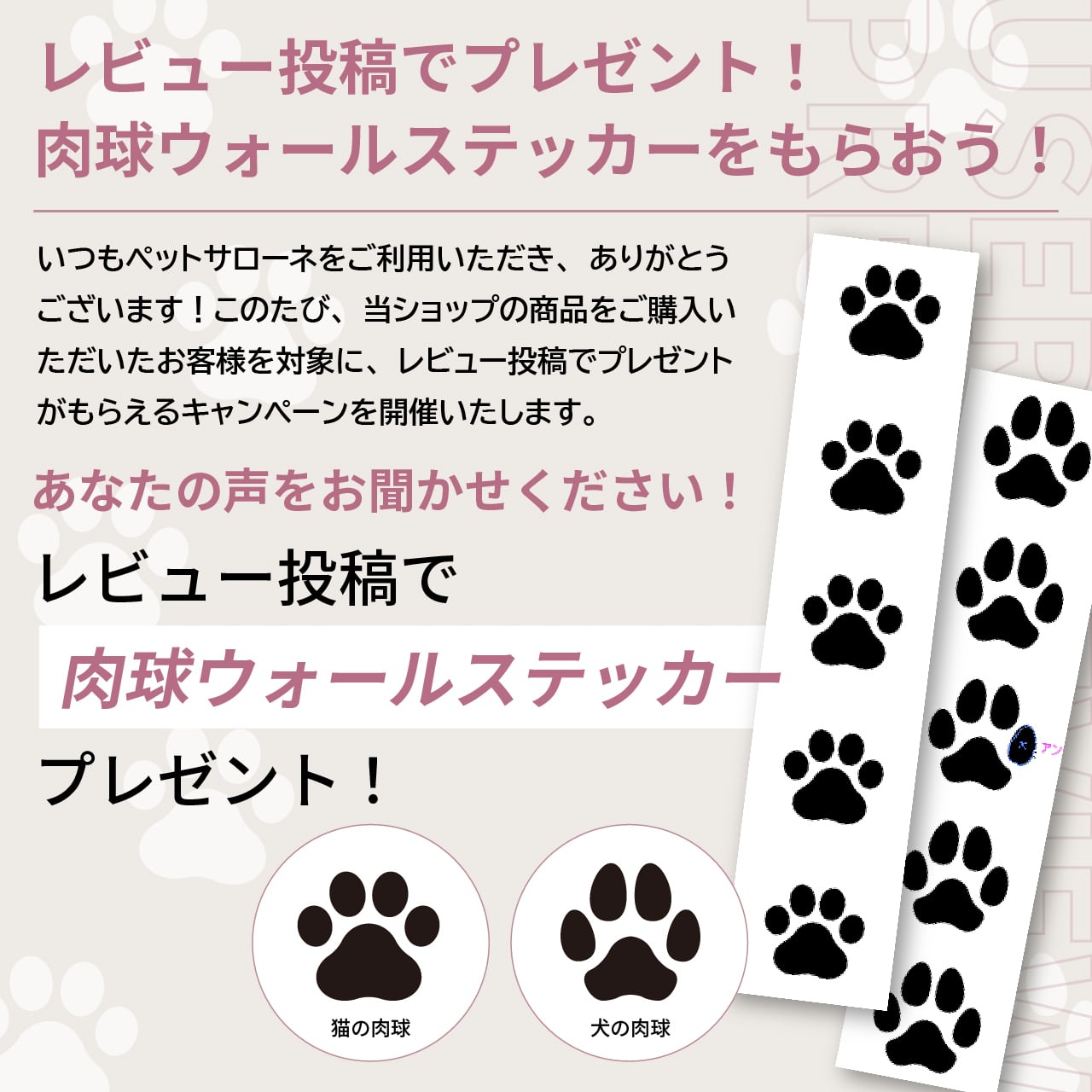 KL-W02 カルテック光触媒除菌脱臭機 | Pet Salone