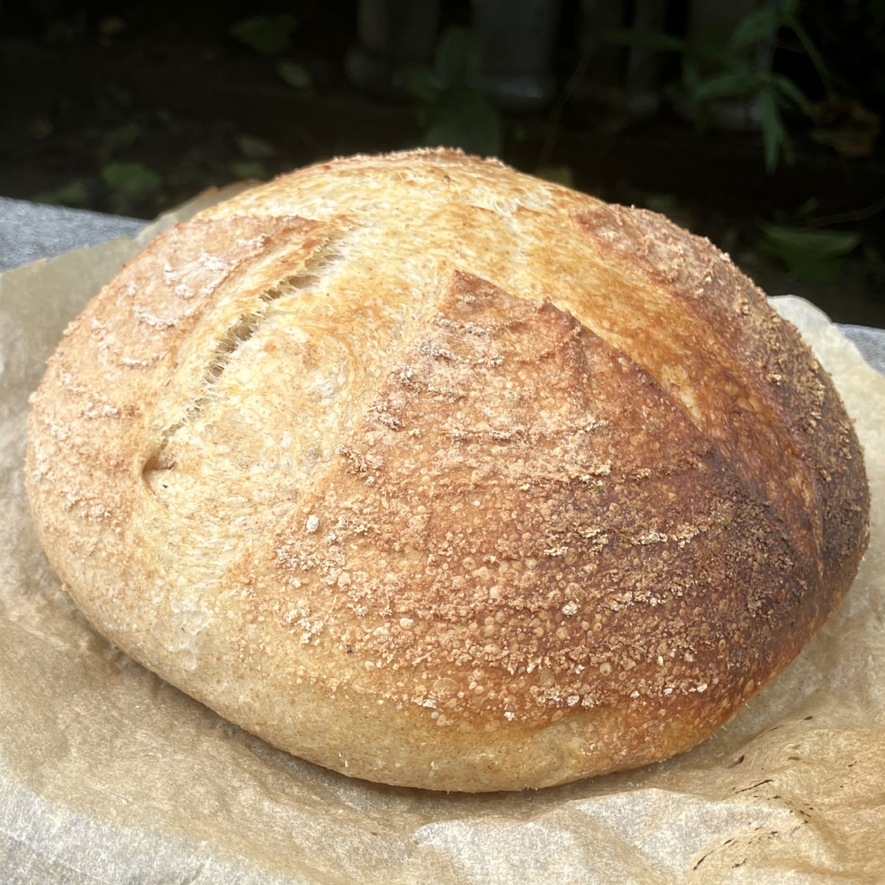 ツヨニーオーブン】天火オーブン ガスオーブン アウトドアオーブン